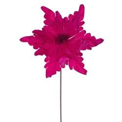 Fuchsia