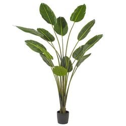 7'