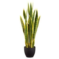 Variegated