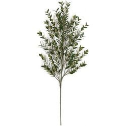 Options – 31" Fire Rated