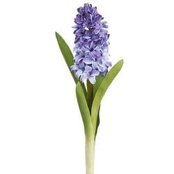 Options – Blue