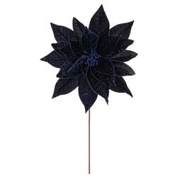 Midnight Blue