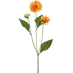 Yellow/Orange
