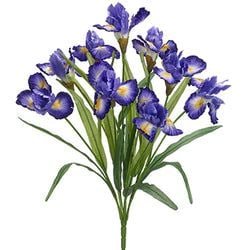 2 Tone Violet