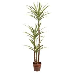 Variegated