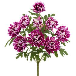 Boysenberry