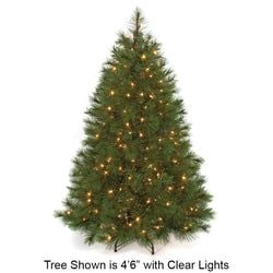 4'6" LED Lighted