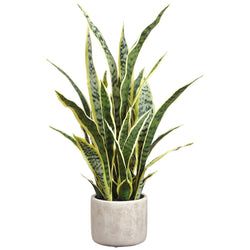 Variegated
