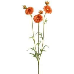 Options – Orange