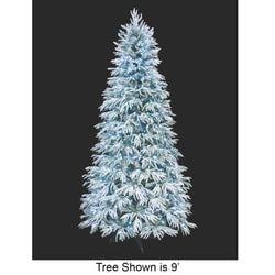 Options – 7'6" LED Multi-Mode