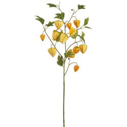 Yellow/Orange