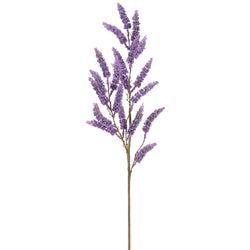 Lavender/Purple