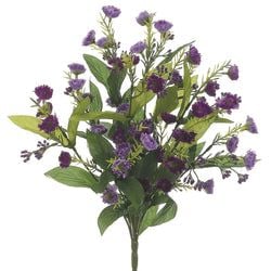 2 Tone Orchid