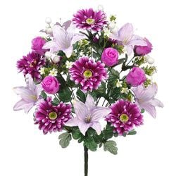 Options – Purple/Lavender