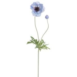 Options – Blue