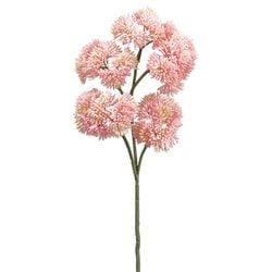 Options – Pink