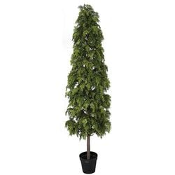 7'