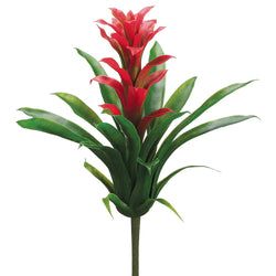Red/Green