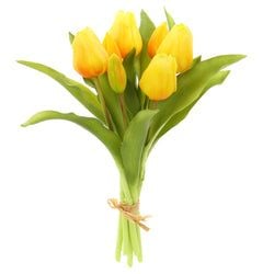 Options – Yellow