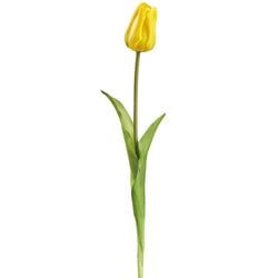 Options – Yellow