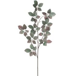Green/Burgundy