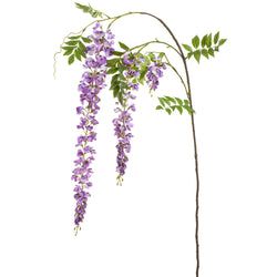 Lavender/Purple