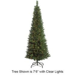 7'6" Lighted