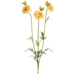 Options – Yellow