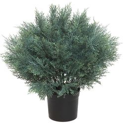 Gray/Green