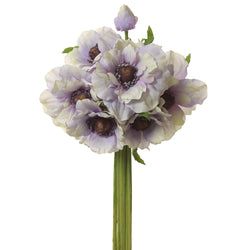 Lavender/Cream