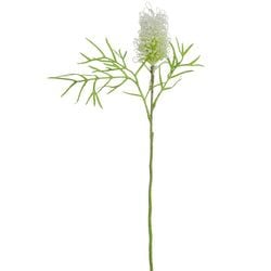 White/Green