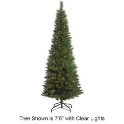 9' Lighted