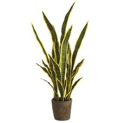 Variegated