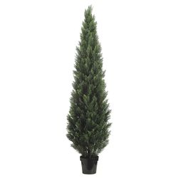 7'