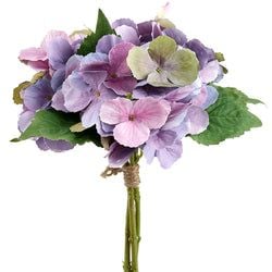 Lavender/Green