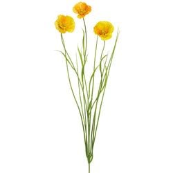 Options – Yellow