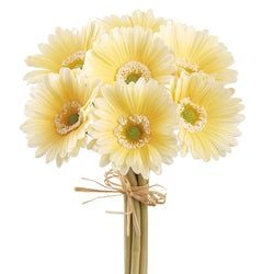 Options – Yellow