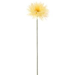 Options – Light Yellow