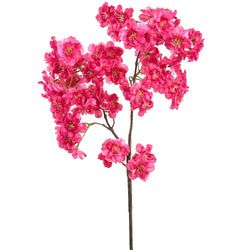 Beauty/Pink