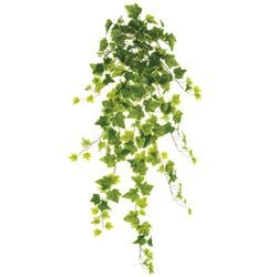 Options – Variegated
