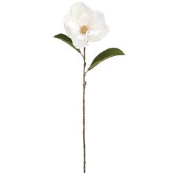 SALE - Cream