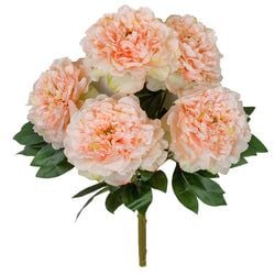 Options – Peach/Pink