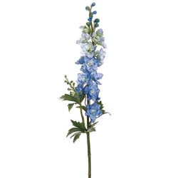 Delphinium Blue