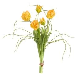 Yellow/Green