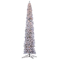 10' Lighted