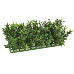 10" UV-Resistant edge