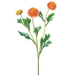 Options – Orange