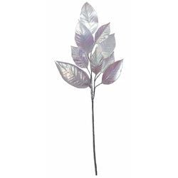 Options – Clear/Iridescent