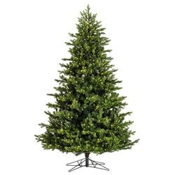 7'6" LED