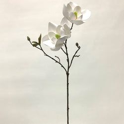Options – White